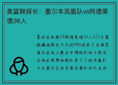 奥篮联探长：墨尔本凤凰队vs阿德莱德36人
